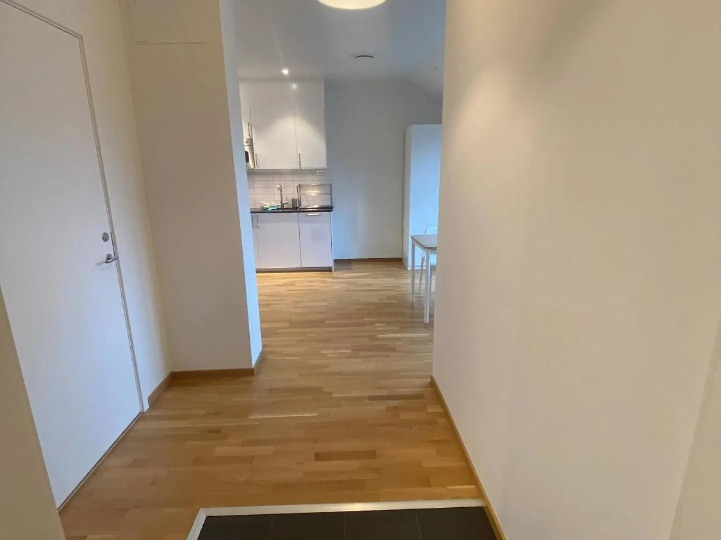 Luxurious Flat With A Rooftop Terrace Apartment Gothenburg